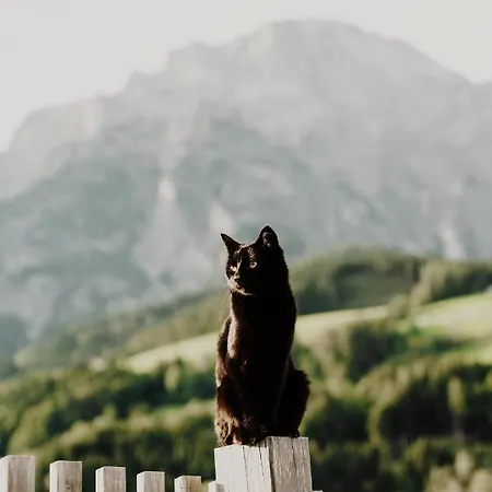 Obergrundhof * Leogang