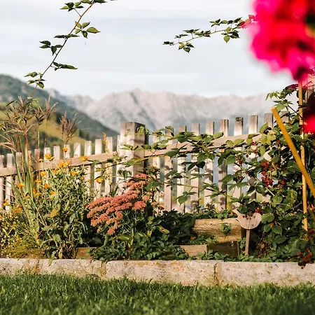 Appartement Obergrundhof *