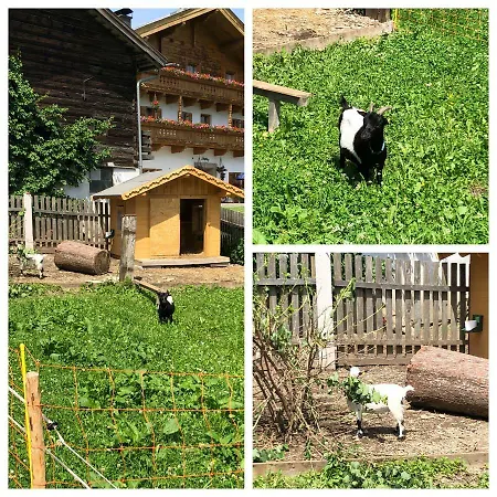 Appartement Obergrundhof *