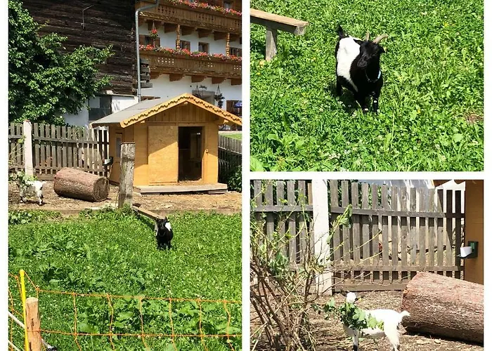 Appartement Obergrundhof *